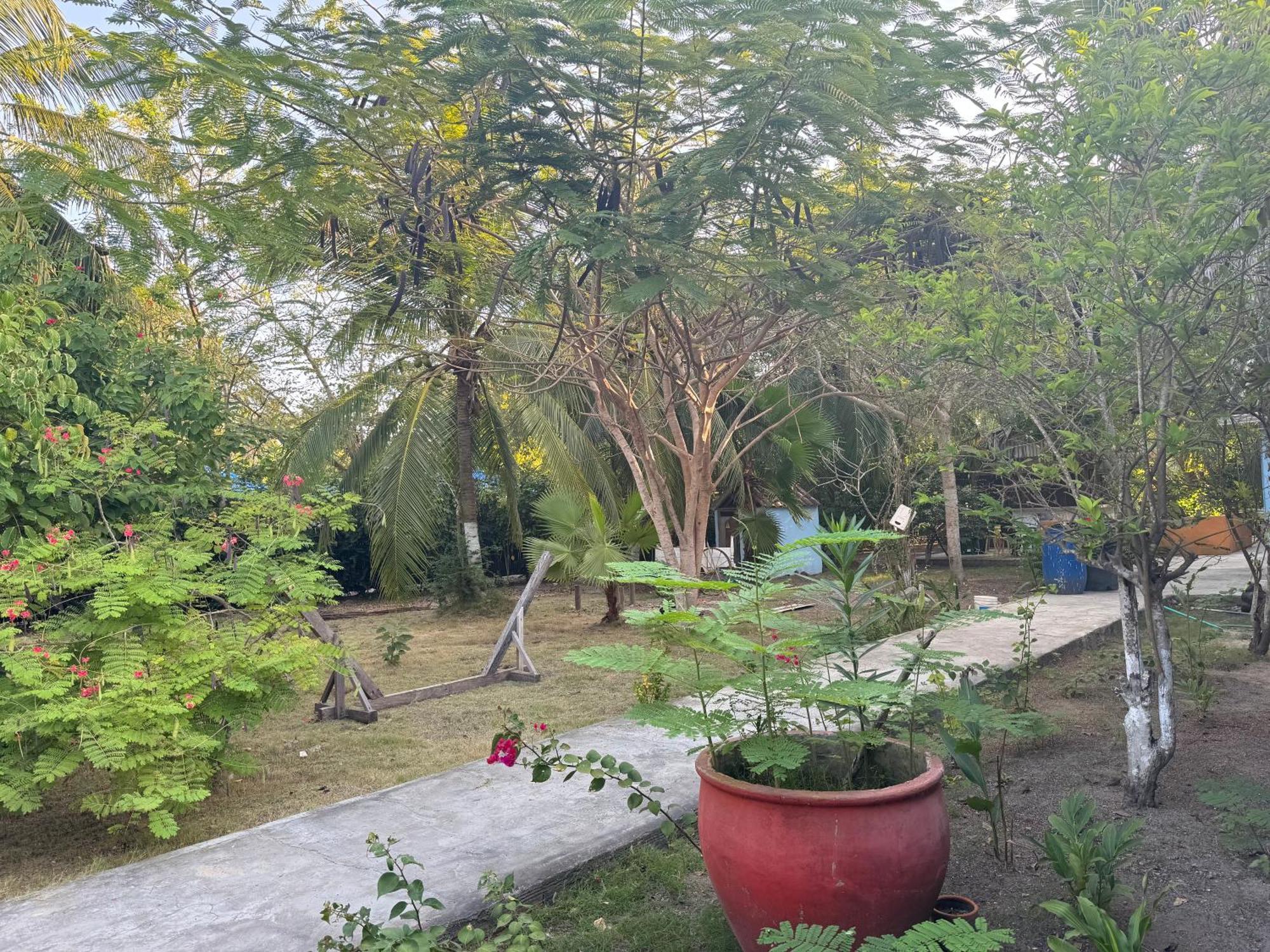 Casa Lolas House By Ctglifetravelers Isla Grande  Εξωτερικό φωτογραφία